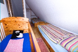 Kinderzimmer Lachmöwe